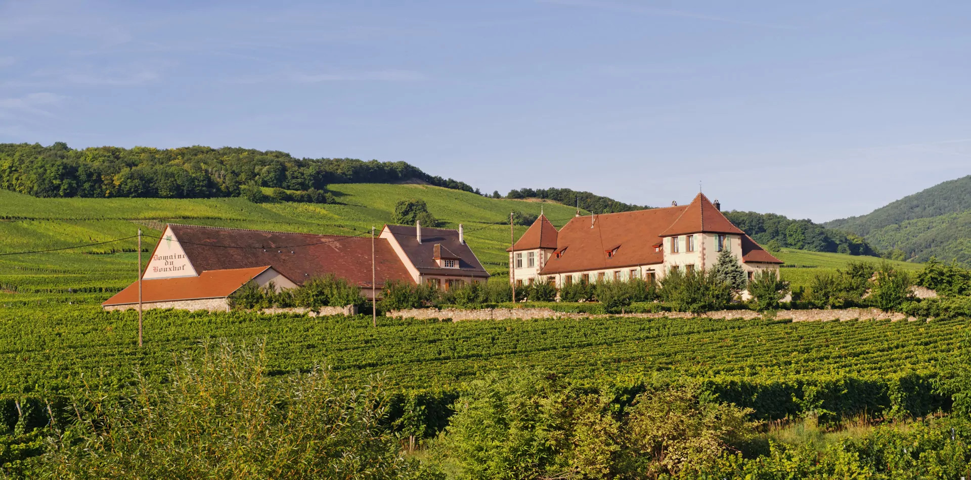 Domaine du Bouxhof : Producteur de vins d'Alsace près de Colmar